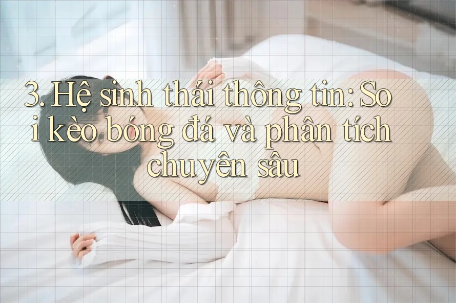 3. Hệ sinh thái thông tin: Soi kèo bóng đá và phân tích chuyên sâu 3. Hệ sinh thái thông tin: Soi kèo bóng đá và phân tích chuyên sâu