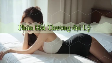 Phản hồi Thưởng đại lý