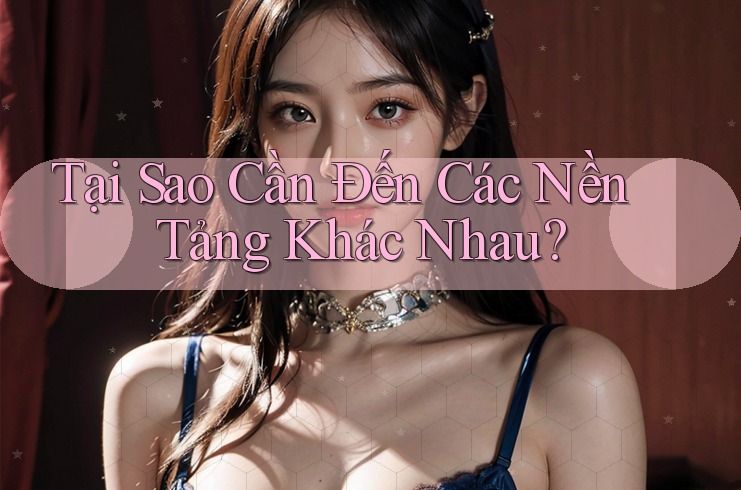 Tại Sao Cần Đến Các Nền Tảng Khác Nhau? Tại Sao Cần Đến Các Nền Tảng Khác Nhau?